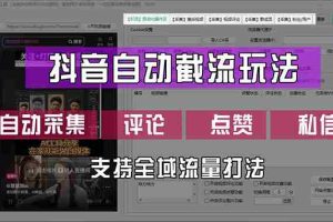 （12428期）抖音自动截流玩法，利用一个软件自动采集、评论、点赞、私信，全域引流