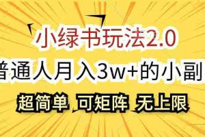 （12374期）小绿书玩法2.0，超简单，普通人月入3w+的小副业，可批量放大
