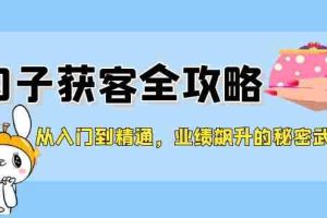 （12247期）从入门到精通，勾子获客全攻略，业绩飙升的秘密武器