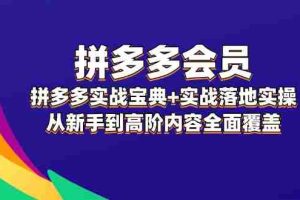 （12056期）拼多多 会员，拼多多实战宝典+实战落地实操，从新手到高阶内容全面覆盖