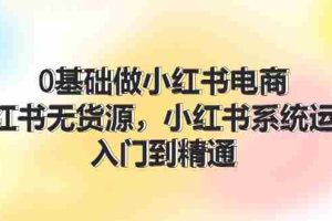 （11960期）0基础做小红书电商，小红书无货源，小红书系统运营，入门到精通 (70节)