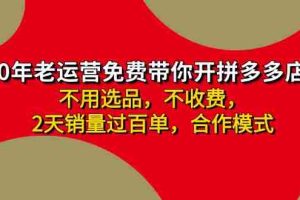 （11853期）拼多多 最新合作开店日收4000+两天销量过百单，无学费、老运营代操作、…