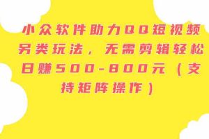（11736期）小众软件助力QQ短视频另类玩法，无需剪辑轻松日赚500-800元（支持矩阵…