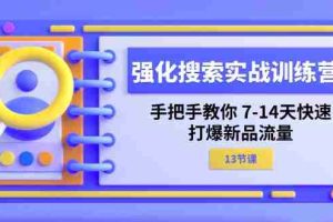 （11557期）强化 搜索实战训练营，手把手教你 7-14天快速-打爆新品流量（13节课）