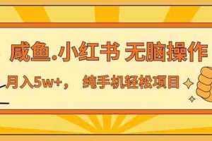 （11524期）2024最赚钱的项目，咸鱼，小红书无脑操作，每单利润500+，轻松月入5万+…