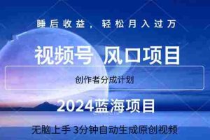 （11388期）2024蓝海项目，3分钟自动生成视频，月入过万
