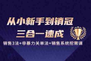 (10799期)从小新手到销冠 三合一速成:销售3法+非暴力关单法+销售系统挖需课 (27节)