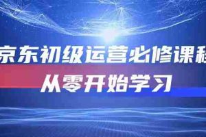 （10261期）京东初级运营必修课程，从零开始学习