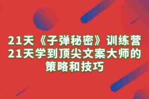 （10209期）21天《子弹秘密》训练营，21天学到顶尖文案大师的策略和技巧