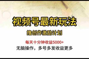 （10087期）视频号最新玩法，每日一小时月入5000+