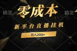 （9841期）新平台直播挂机最新玩法，0成本，不违规，日入2000+