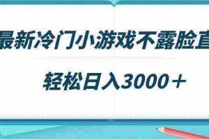 （9094期）最新冷门小游戏不露脸直播，场观稳定几千，轻松日入3000＋