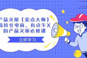 (8244期)产品文案【卖点 大师】高转化电商,有点牛X的 产品文案必修课