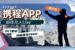 (7744期)携程APP薅羊毛,外面卖1980的冷门赛道,矩阵月入1.5w