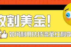 (7733期)收割美金!简单制作shorts短视频,利用平台转型流量红利推广佣金任务