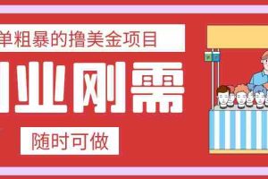 (7710期)最简单粗暴的撸美金项目 会打字就能轻松赚美金