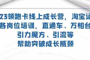 （7462期）2023领跑·卡 线上成长营 淘宝运营各岗位培训 直通车 万相台 引力魔方 引流