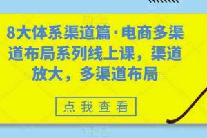 （7458期）八大体系渠道篇·电商多渠道布局系列线上课，渠道放大，多渠道布局