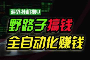 （1036期）海外挂机撸U新平台，日赚8-15美元，全程无人值守，可批量放大，工作室内…