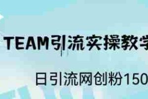 (6578期)ST TEAM引流实操课,日引流网创粉100+