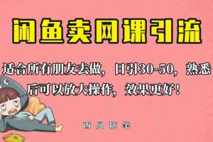 (6499期)外面这份课卖 698,闲鱼卖网课引流创业粉,新手也可日引50+流量