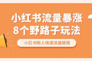(6476期)小红书流量-暴涨8个野路子玩法:小红书新人快速流量破局(8节课)