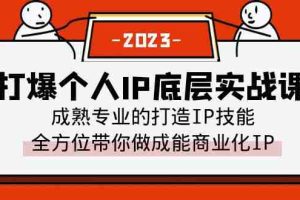 (6417期)打爆·个人IP底层实战课,成熟专业的打造IP技能 全方位带你做成能商业化IP