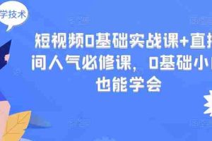 （2999期）短视频0基础实战课+直播间人气必修课，0基础小白也能学会