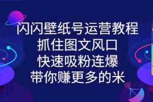 （2764期）闪闪壁纸号运营教程，抓住图文风口，快速吸粉连爆，带你赚更多的米