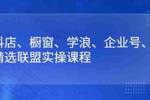 （2640期）抖店、橱窗、学浪、企业号、精选联盟实操课程
