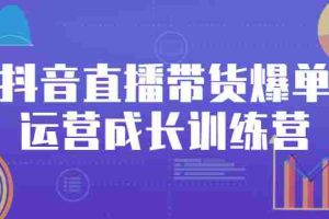 （2559期）抖音直播带货爆单运营成长训练营，手把手教你玩转直播带货