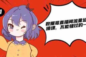 （1866期）数据哥直播间流量运营线上实操课，不能错过的一套系统课
