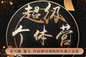 (1745期)超级个体营:解锁个人“优势”,实现个人品牌持续变现(视频课-无水印)