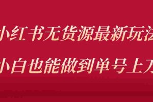 （5646期）小红书无货源最新螺旋起号玩法，电商小白也能做到单号上万（收费3980）