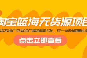（5062期）淘宝蓝海无货源项目，不囤货不推广只做冷门高利润代发，花一半时间赚10倍钱