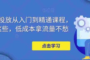（4920期）万相台投放·新手到精通课程，学会这些，低成本拿流量不愁！