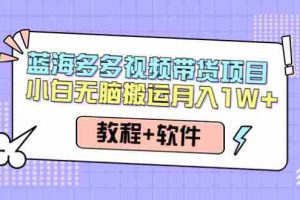 （4343期）人人都能操作的蓝海多多视频带货项目 小白无脑搬运月入10000+（教程+软件）