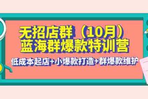 （4182期）无招店群·蓝海群爆款特训营(10月新课) 低成本起店+小爆款打造+群爆款维护