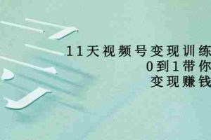 （3595期）11天视频号变现训练营，从0到1打造变现赚钱系统