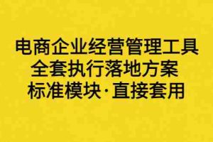 (3439期)外面卖198·电商企业经营管理工具:全套执行落地方案 标准模块·直接套用