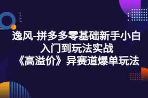 (3435期)逸风-拼多多零基础新手小白入门到玩法实战《高溢价》异赛道爆单玩法实操课