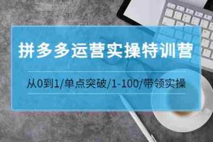 (3417期)青云:拼多多运营实操特训营:从0到1/单点突破/1-100/带领实操