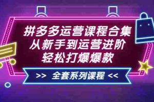 (3415期)拼多多运营课程合集:从新手到运营进阶,轻松打爆爆款(全套系统课程)