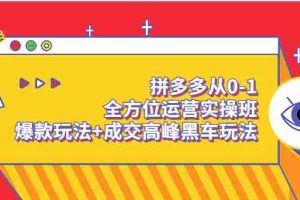(3408期)拼多多从0-1全方位运营实操班:爆款玩法+成交高峰黑车玩法
