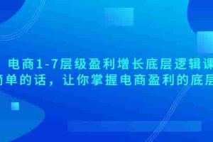 (3403期)电商1-7层级盈利增长底层逻辑课:用简单的话,让你掌握电商盈利的底层逻辑