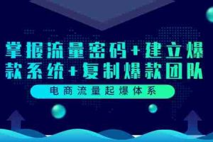 (3382期)电商流量起爆体系:掌握流量密码+建立爆款系统+复制爆款团队