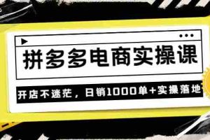 (3381期)《拼多多电商实操课》开店不迷茫,日销1000单+实操落地