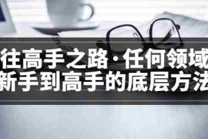 （3378期）粥左罗<通往高手之路·任何领域从新手到高手的底层方法>完结
