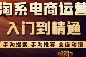 (3371期)淘系电商入门到精通 手淘搜索,手淘推荐,全店动销