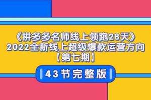 (3369期)《拼多多名师线上领跑28天》2022全新线上超级爆款运营方向【第七期】43节课
